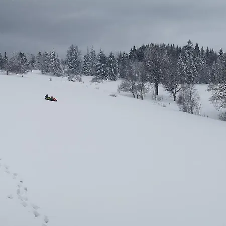 Orle Gniazdo Kamienna Góra