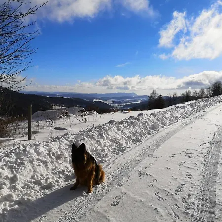 Orle Gniazdo Nyaraló Kamienna Góra