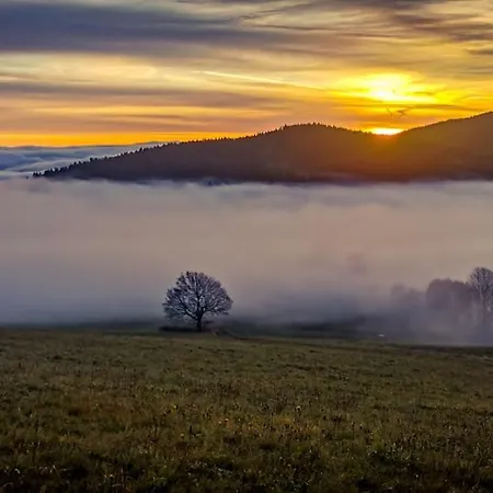 Nyaraló Orle Gniazdo Kamienna Góra