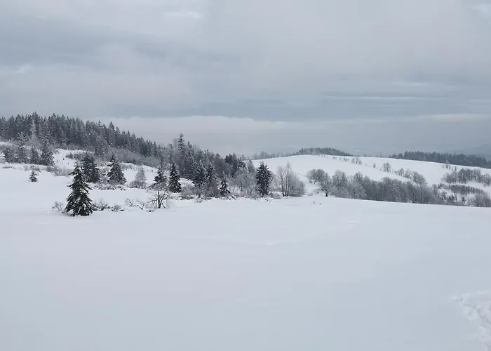 度假居 Orle Gniazdo