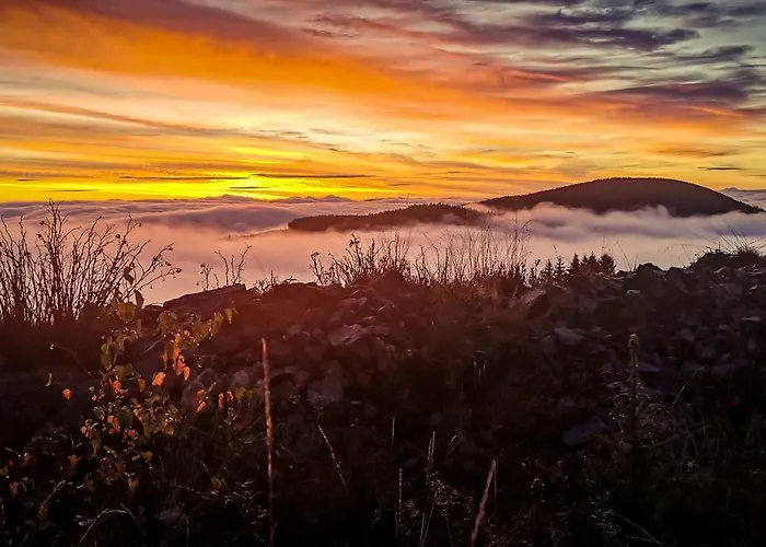 度假居 Orle Gniazdo 卡缅纳古拉