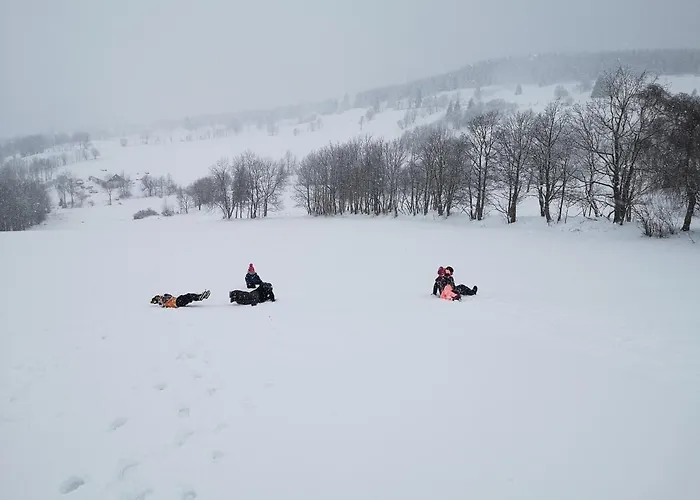 度假居 Orle Gniazdo *