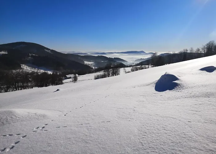 Orle Gniazdo Kamienna Gora