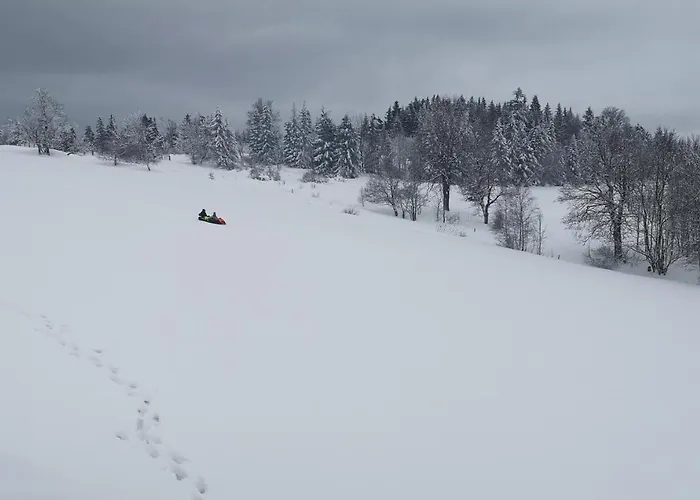 Orle Gniazdo Kamienna Gora