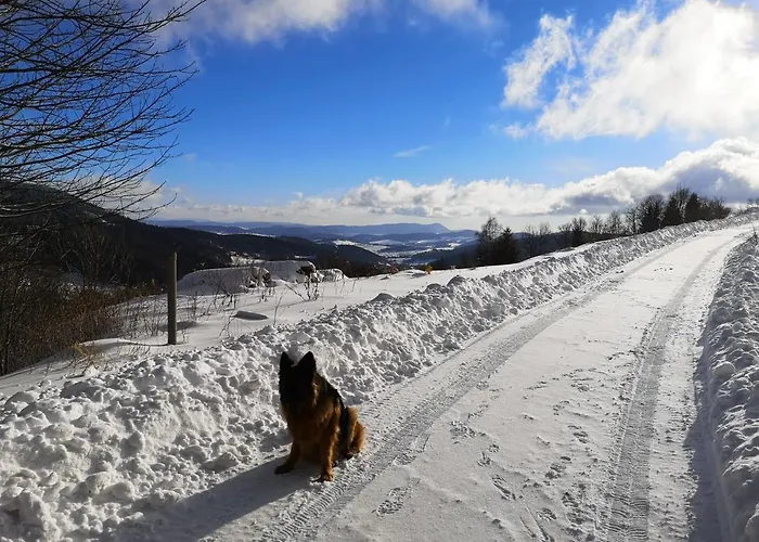 Orle Gniazdo Casa de Férias Kamienna Gora