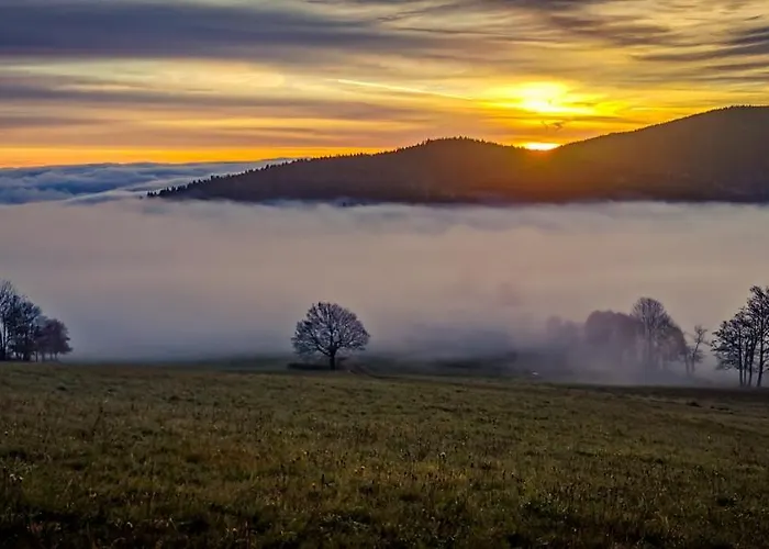Casa de Férias Orle Gniazdo Kamienna Gora