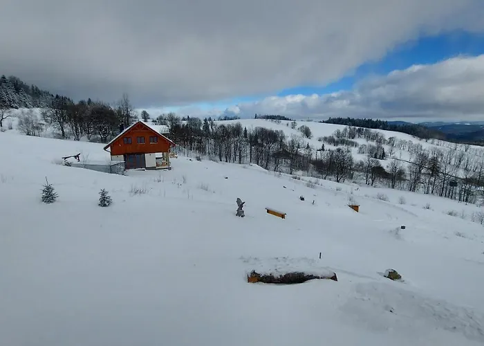 Orle Gniazdo Kamienna Gora